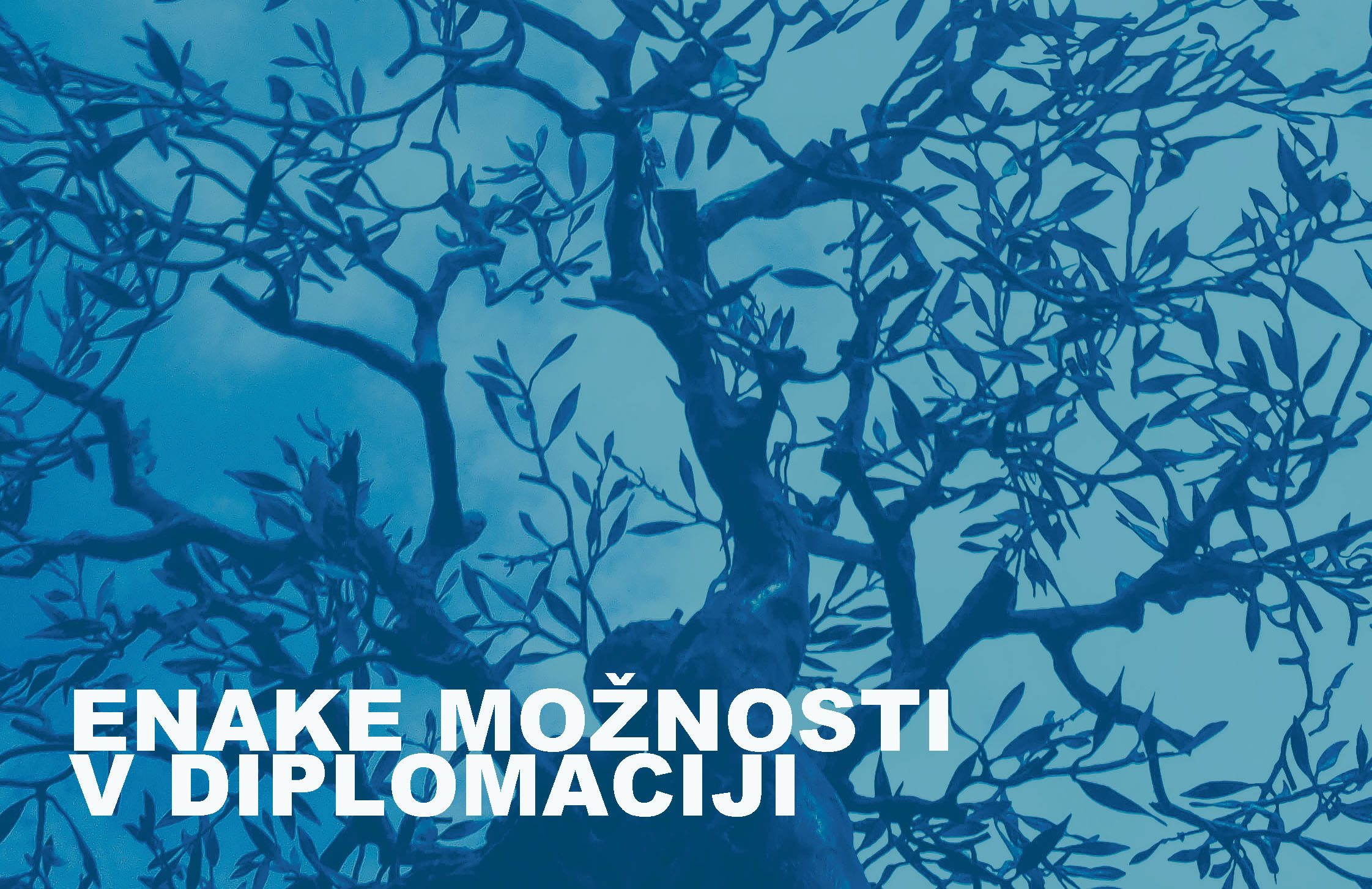 Enake-moznosti-v-diplomaciji