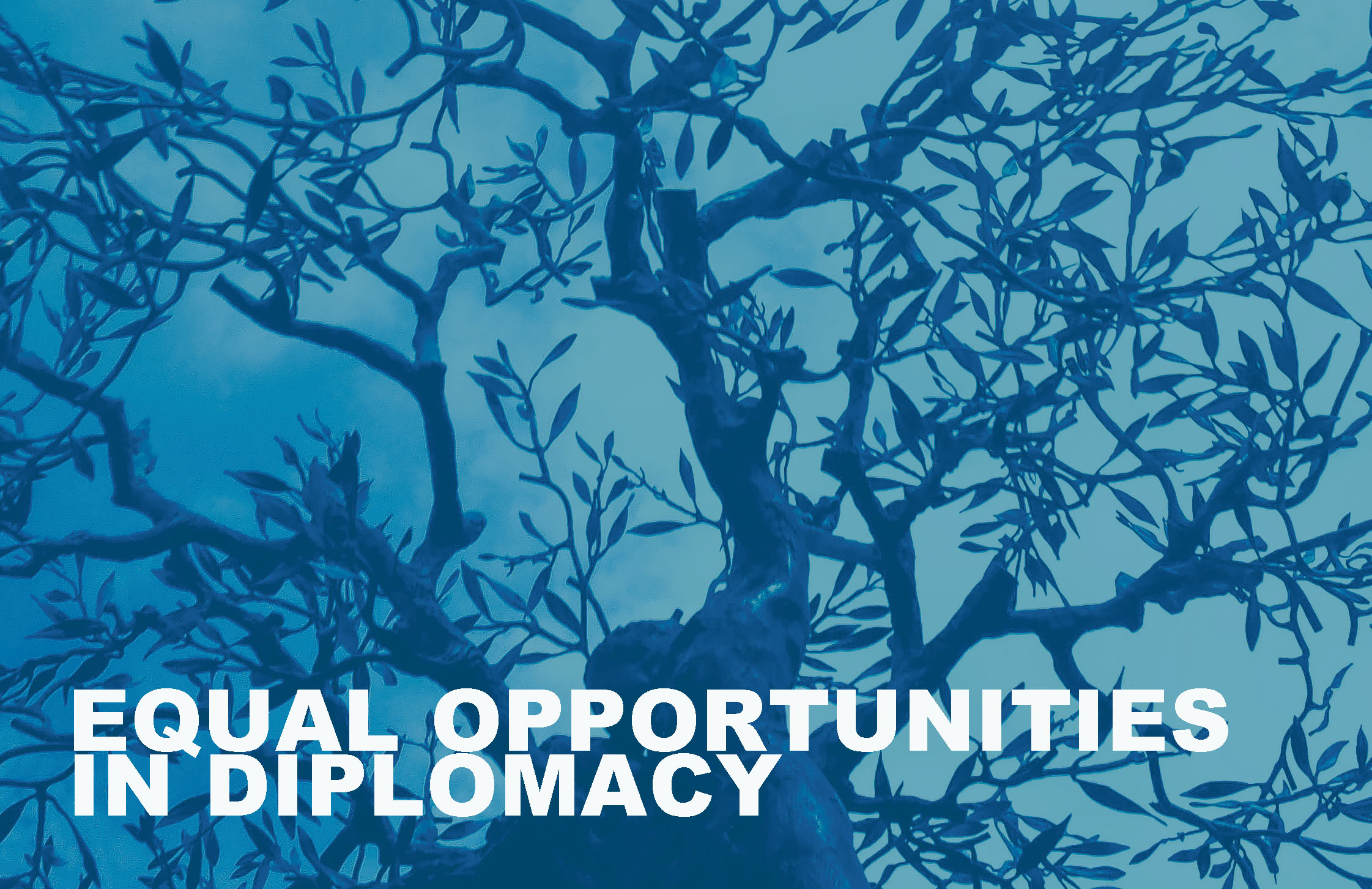 Equal-opportunities-in-diplomacy