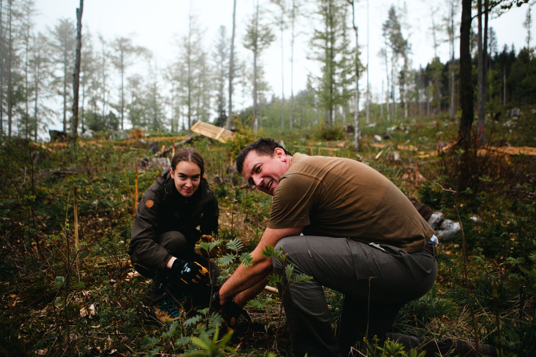 A man and a girl squatting in the middle of a forest, planting a young tree