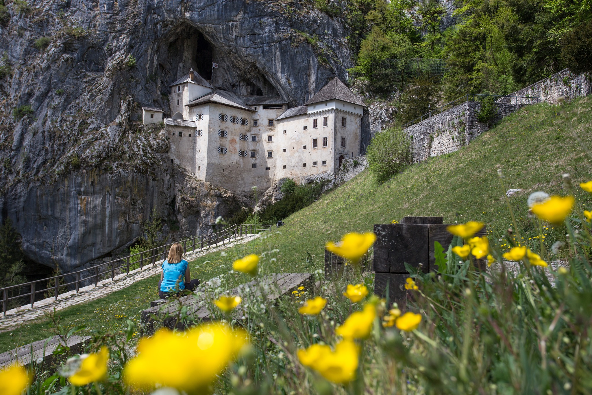 Predjama Castle, a meadow with blooming daisies in front of it, a woman in a blue shirt sits on a bench, looking at the castle.