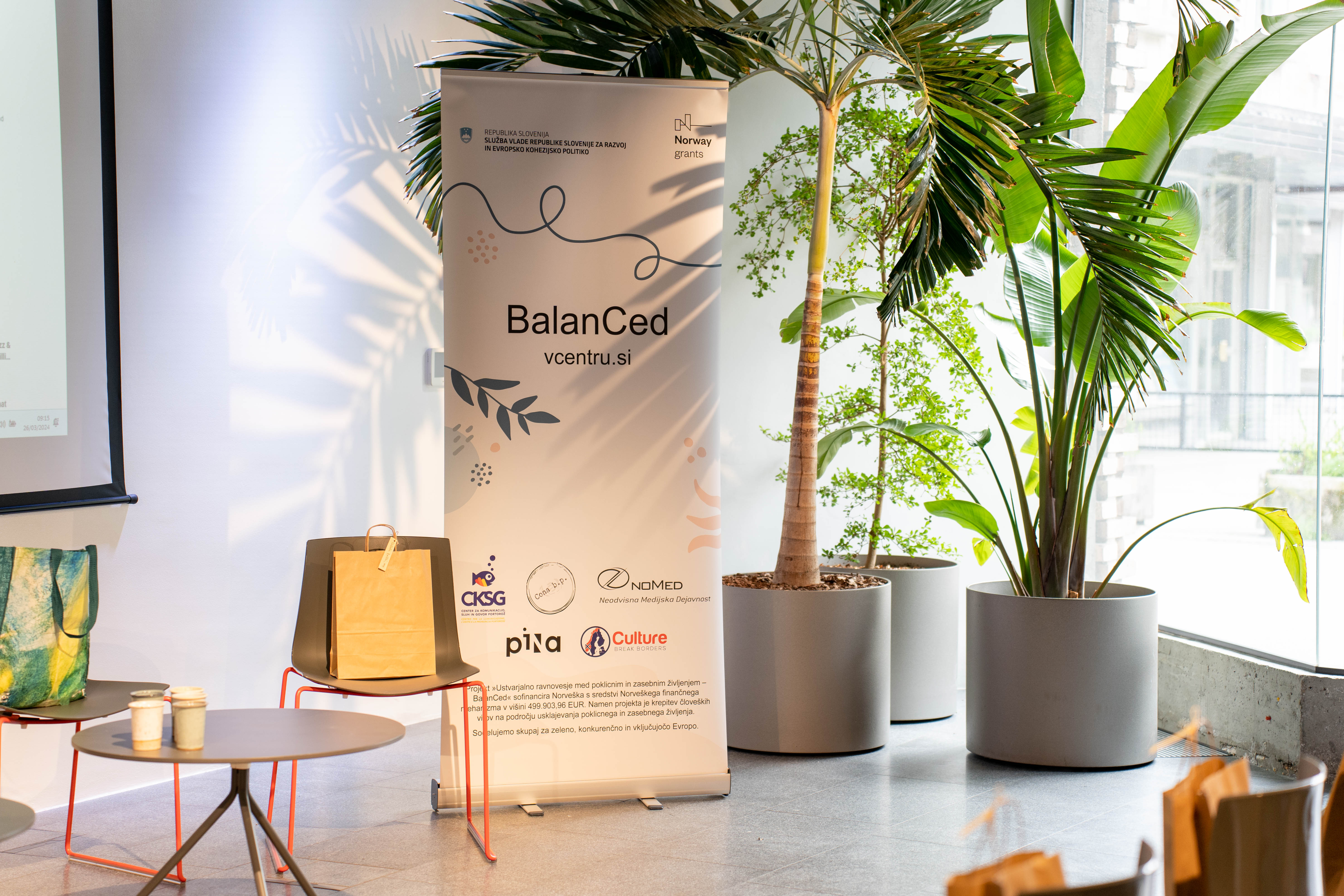Project BalanCed final conference